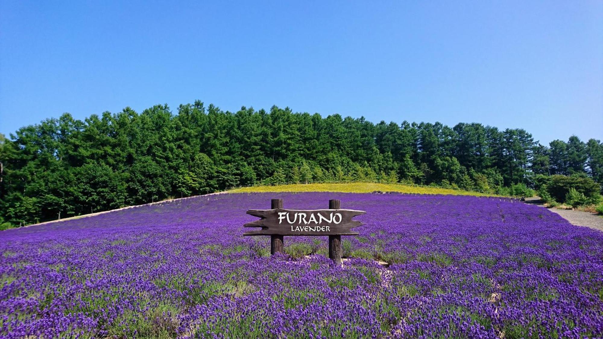 ふらの田園コテージヌプリ Villa Nakafurano Exterior photo